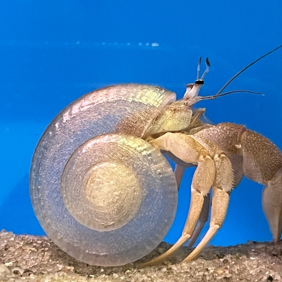 Meet your Posher, Lori - Picture 9 of 10